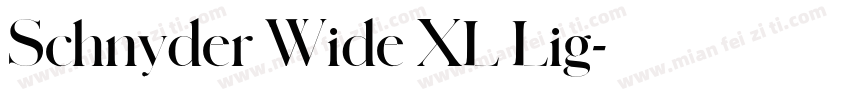 Schnyder Wide XL Lig字体转换